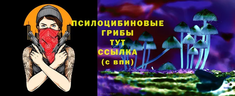 Галлюциногенные грибы MAGIC MUSHROOMS  площадка состав  Красноуральск  мега как войти 